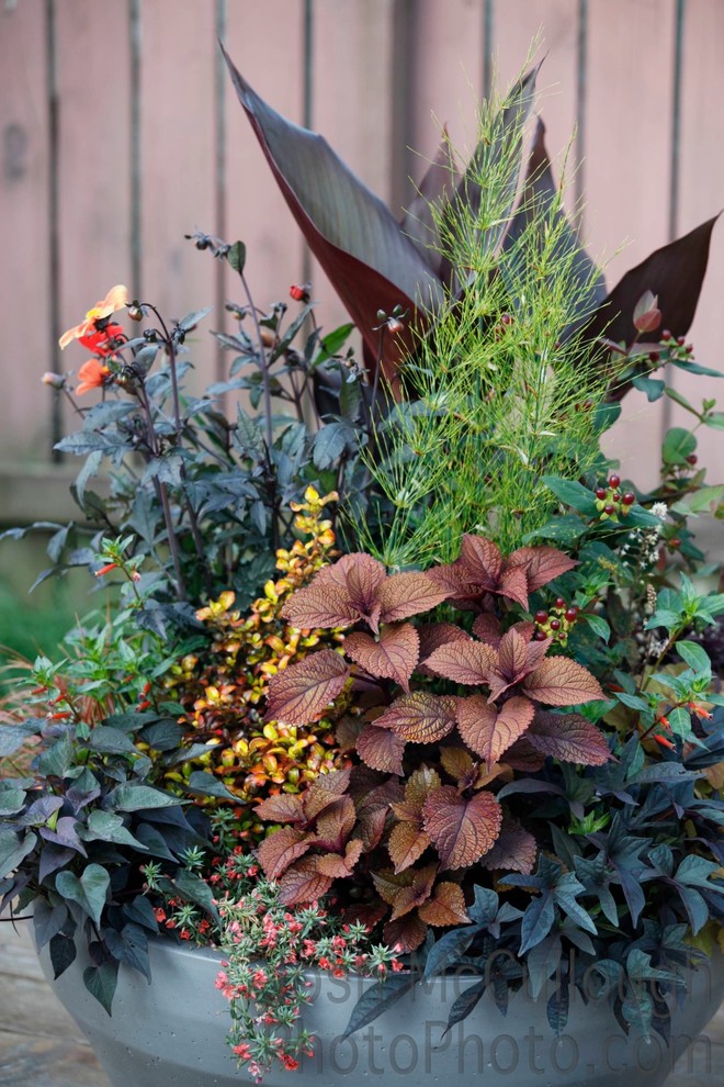 Immagine di un giardino tradizionale