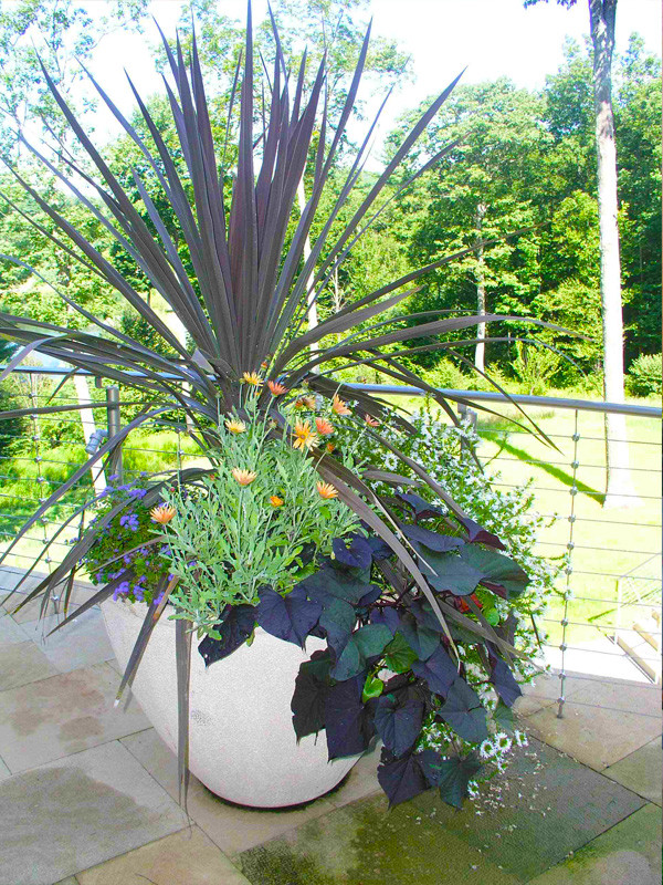 Exemple d'un jardin en pots moderne l'été avec une exposition ombragée et des pavés en pierre naturelle.