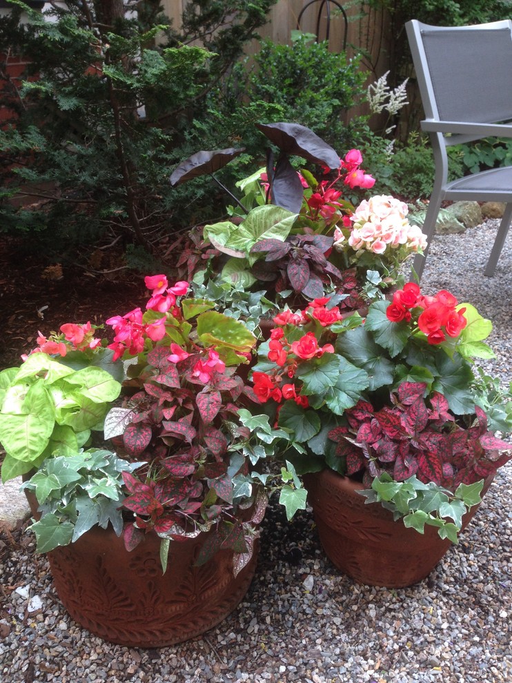 Источник вдохновения для домашнего уюта: маленький тенистый, летний регулярный сад на заднем дворе в классическом стиле с растениями в контейнерах и покрытием из гравия для на участке и в саду