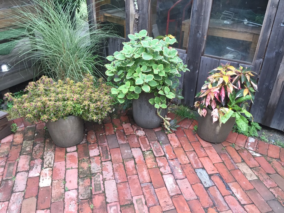 На фото: маленький участок и сад в классическом стиле с растениями в контейнерах, полуденной тенью и мощением клинкерной брусчаткой для на участке и в саду