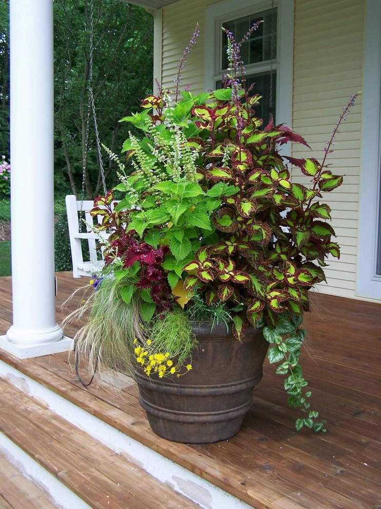 Idee per un giardino chic di medie dimensioni e sul tetto con un giardino in vaso