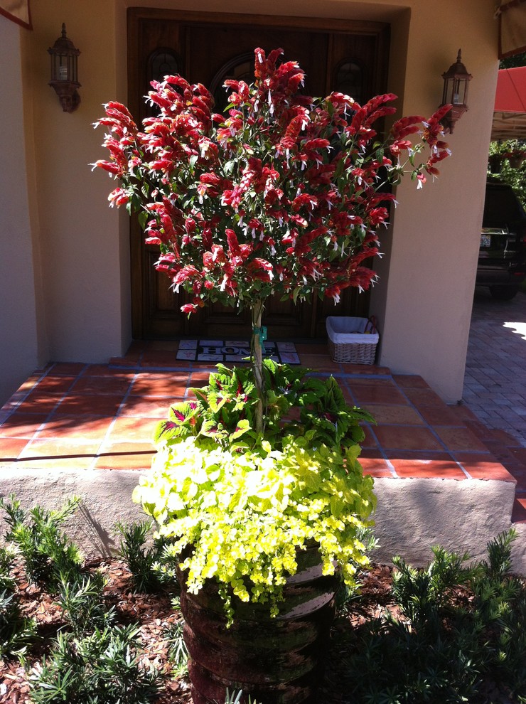Photo of a contemporary front yard landscaping in Tampa.