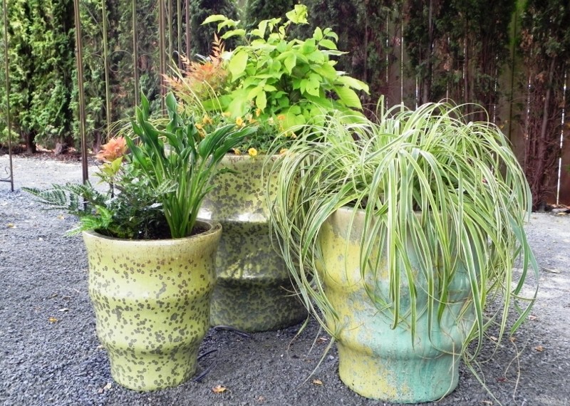 Stilmix Garten mit Kübelpflanzen in Seattle