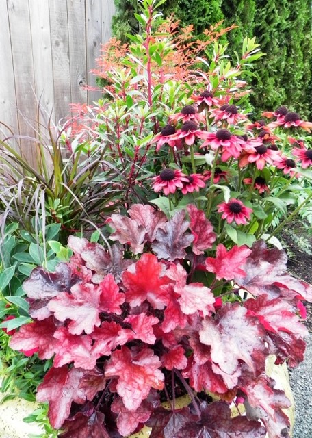 Choose Complementary Colors for Dazzling Container Gardens