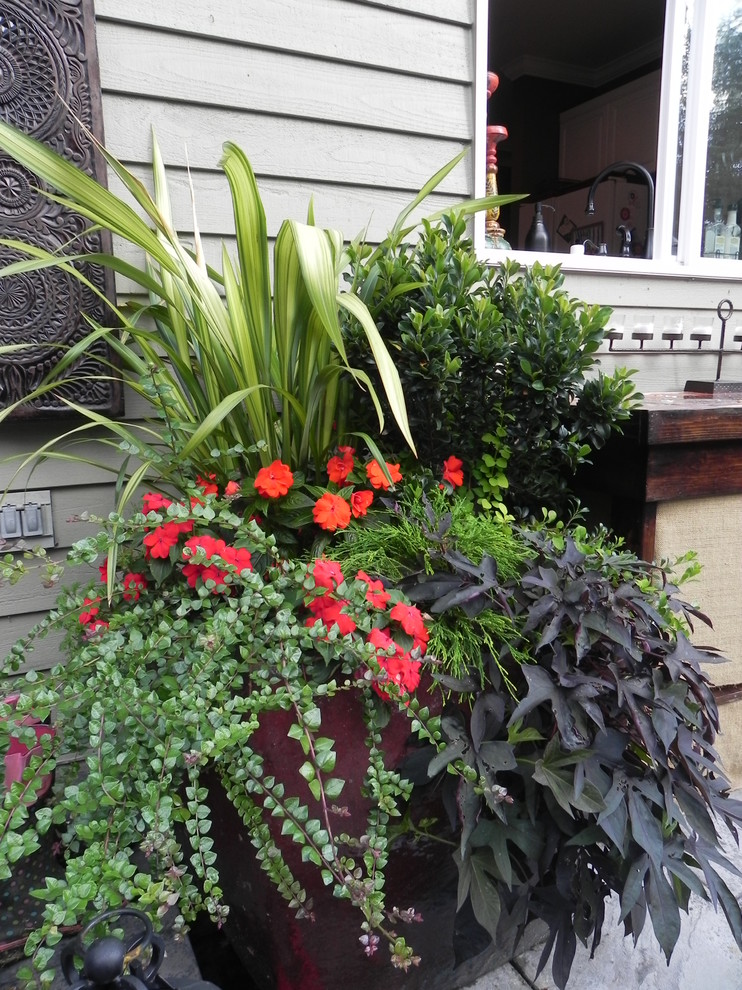 Photo of an eclectic landscaping in Seattle.