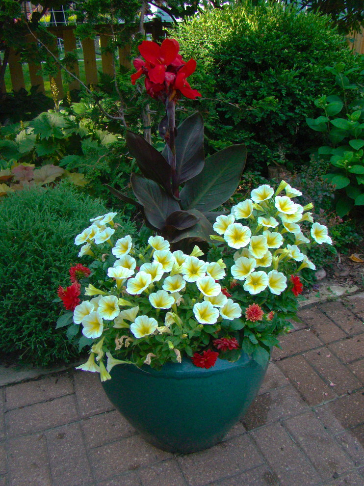 Esempio di un piccolo giardino chic esposto a mezz'ombra con un giardino in vaso