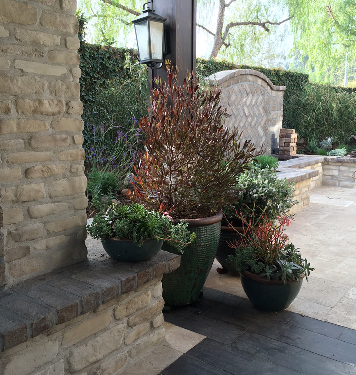 Mittelgroßer Klassischer Garten hinter dem Haus mit Natursteinplatten und Kübelpflanzen in Orange County