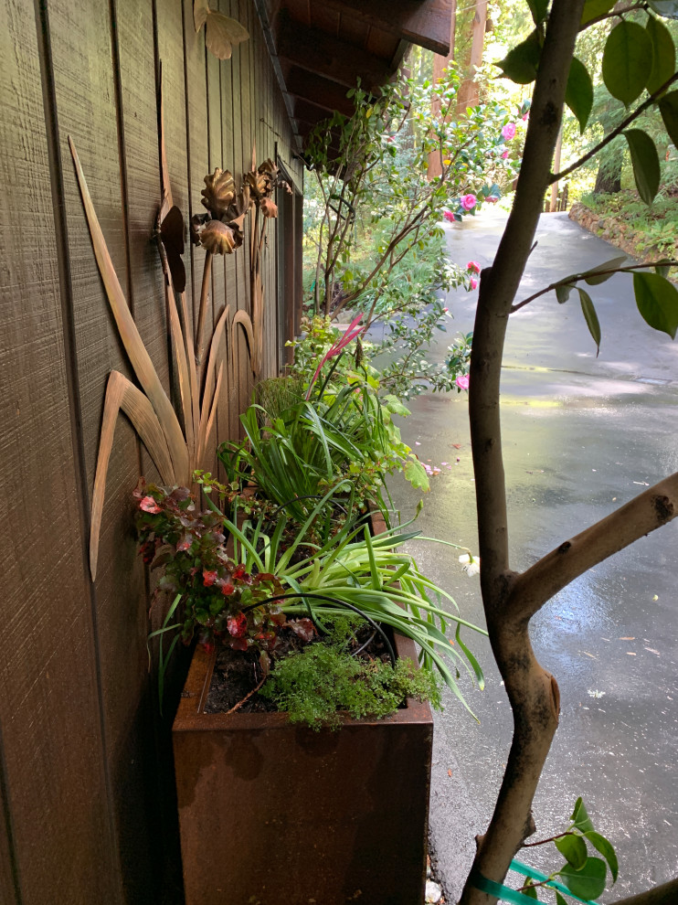 Источник вдохновения для домашнего уюта: участок и сад в современном стиле с растениями в контейнерах