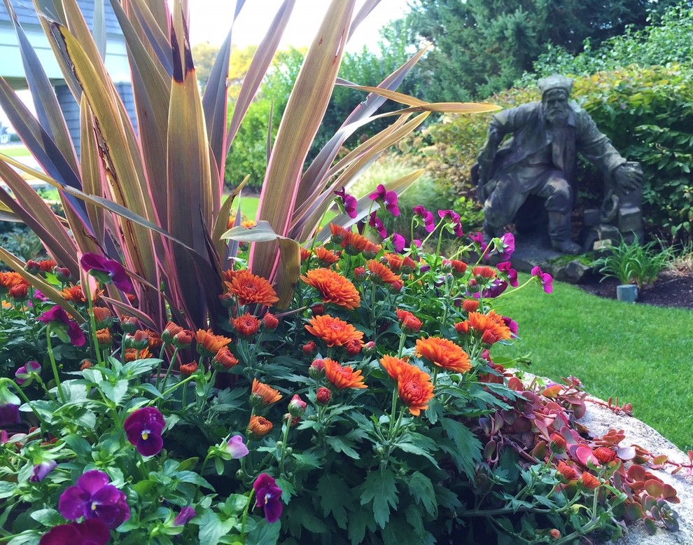Foto di un giardino formale tradizionale esposto in pieno sole dietro casa in autunno con un giardino in vaso