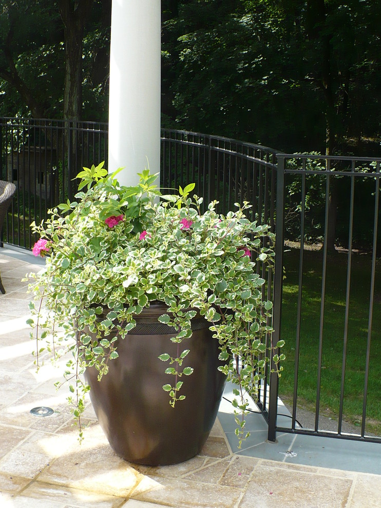 Foto de jardín actual en verano con jardín de macetas y exposición total al sol