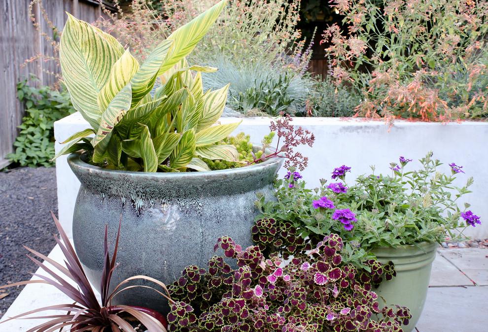 Großer, Halbschattiger Mediterraner Garten hinter dem Haus mit Kübelpflanzen und Natursteinplatten in Portland