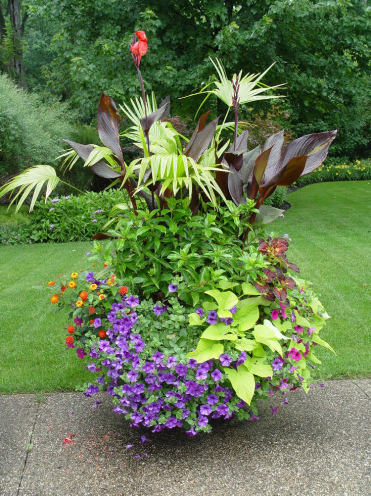 Exemple d'un jardin en pots.
