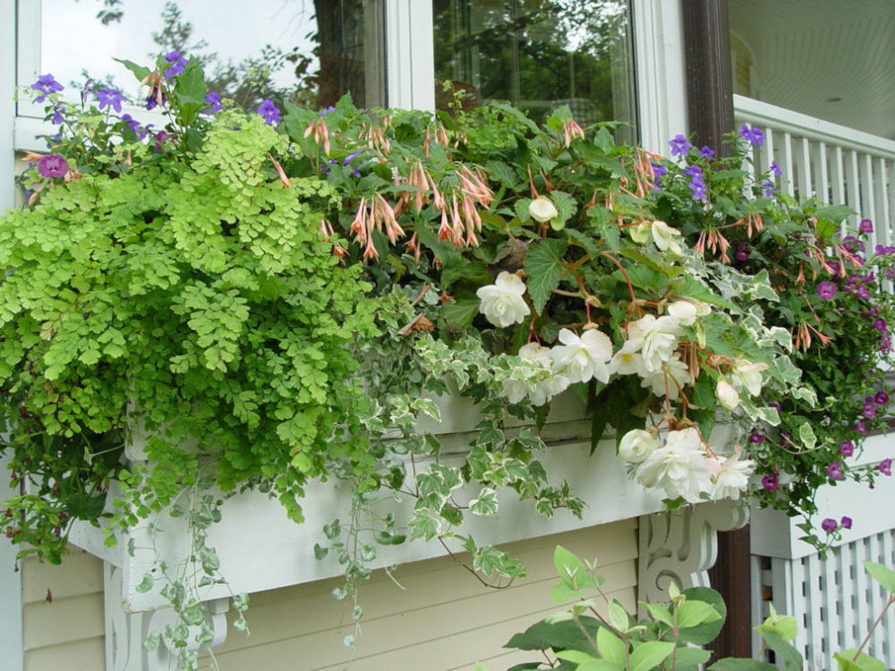 Container Pot Gardens Landscape Chicago by Schmechtig Landscapes