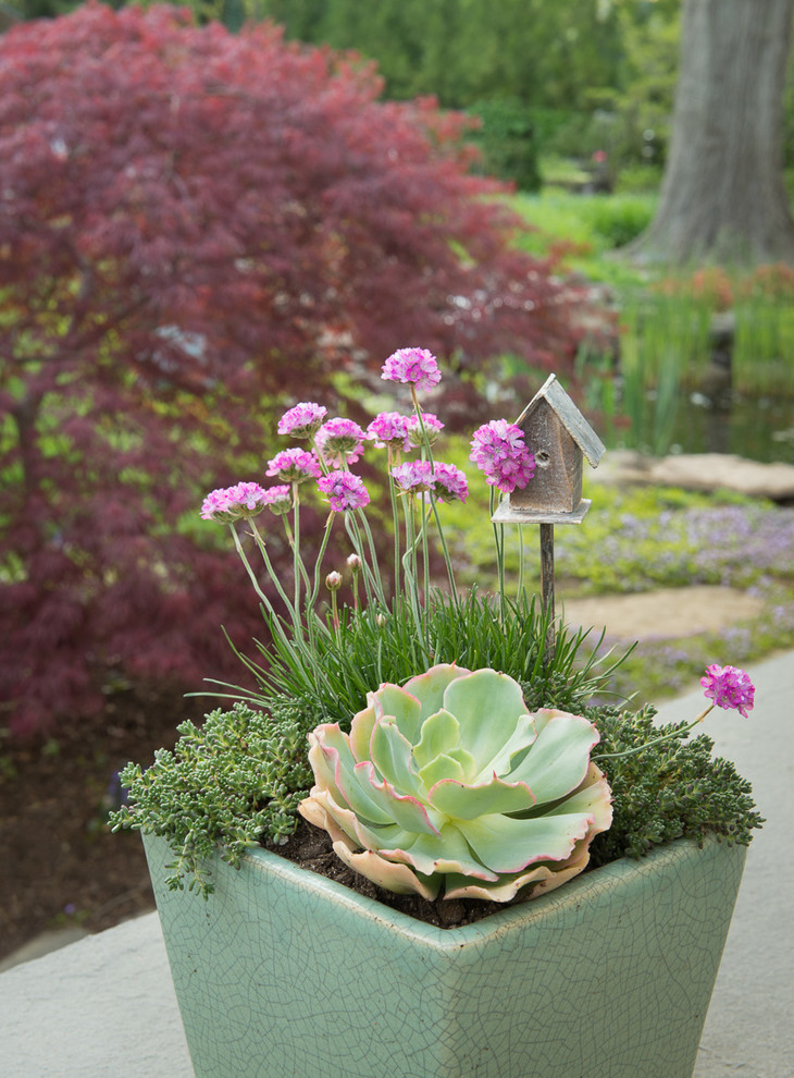 Kleiner Stilmix Garten im Sommer, hinter dem Haus mit Kübelpflanzen, direkter Sonneneinstrahlung und Natursteinplatten in Washington, D.C.