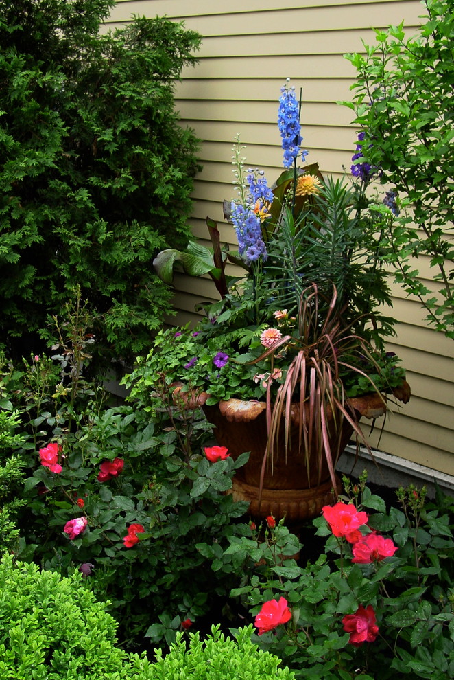 Diseño de jardín tradicional pequeño en verano en patio trasero con jardín de macetas y exposición total al sol