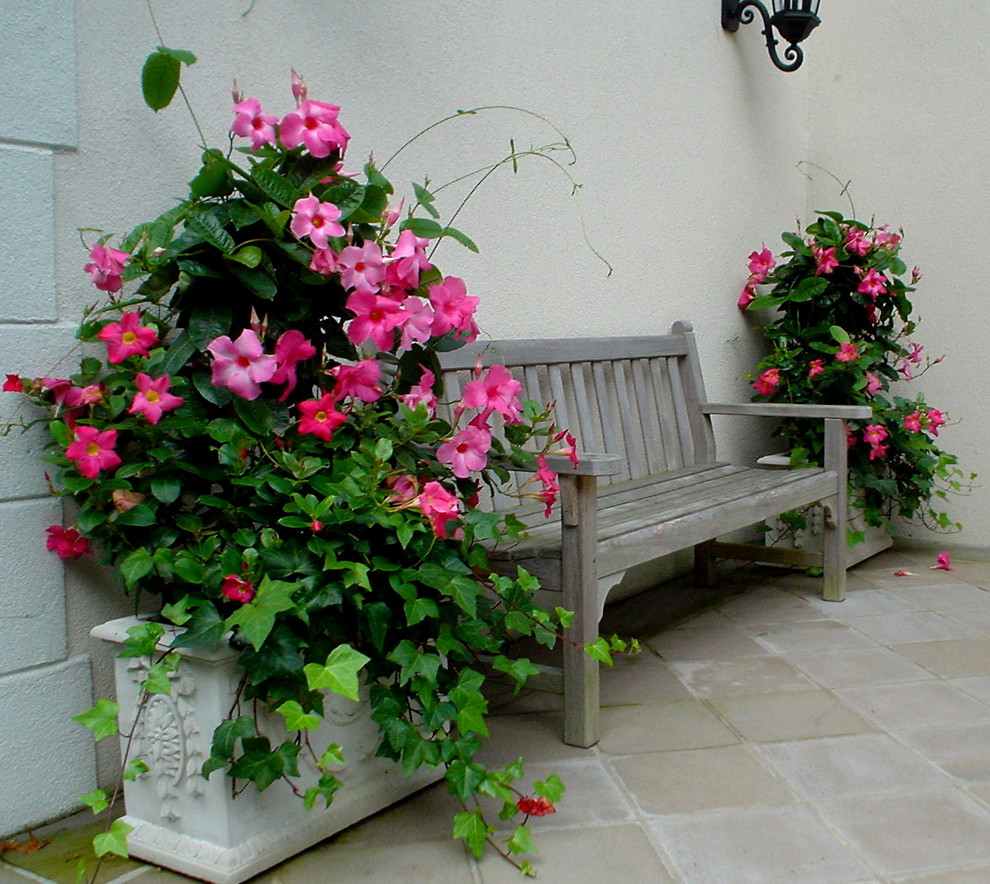 Idée de décoration pour un petit jardin en pots avant tradition l'été avec une exposition ensoleillée.