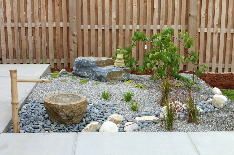 Design ideas for a contemporary backyard landscaping in Denver.