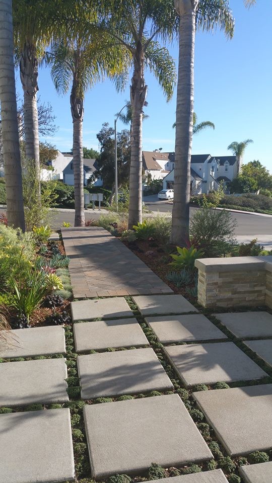 Moderner Garten mit direkter Sonneneinstrahlung und Betonboden in San Diego
