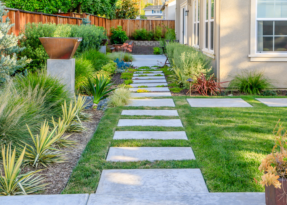 Halbschattiger Moderner Garten hinter dem Haus mit Wasserspiel in San Francisco