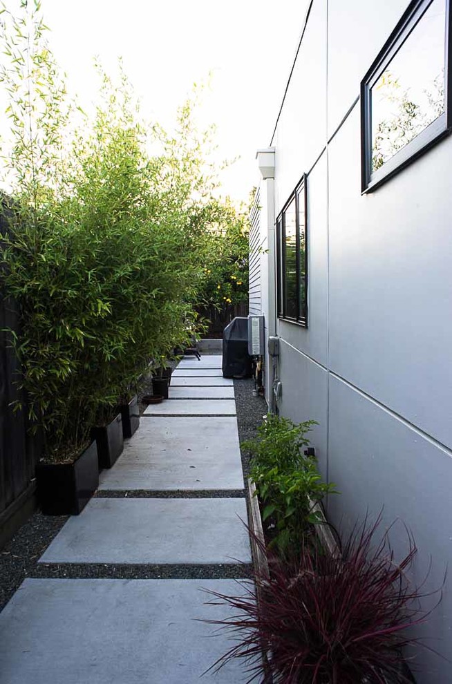Idee per un giardino moderno in ombra di medie dimensioni e nel cortile laterale con un ingresso o sentiero e pavimentazioni in cemento