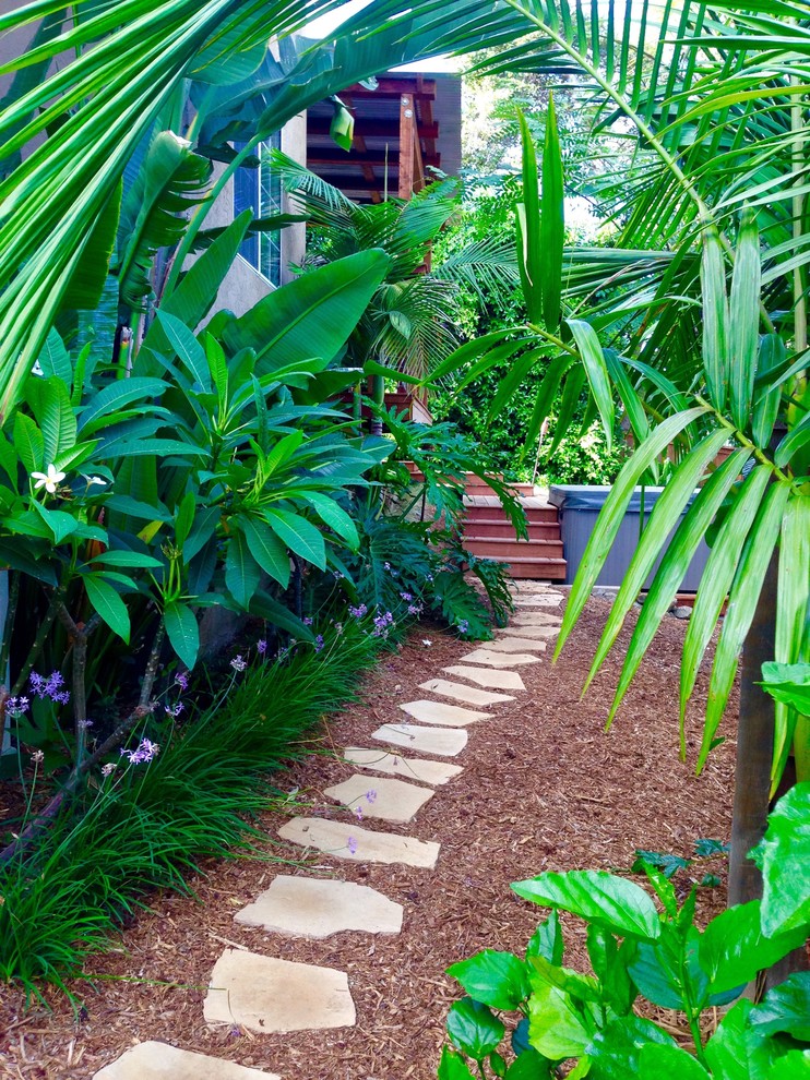 Foto di un giardino formale tropicale esposto a mezz'ombra di medie dimensioni e davanti casa in estate con un ingresso o sentiero e pacciame