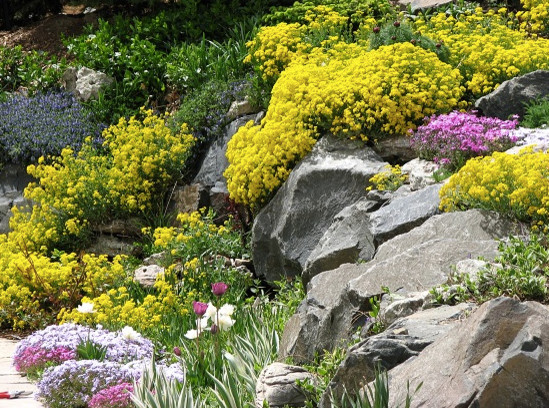 Foto de jardín contemporáneo extra grande en verano en patio lateral con jardín francés, fuente, exposición total al sol y adoquines de piedra natural