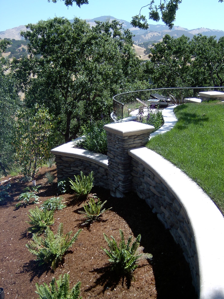 Пример оригинального дизайна: солнечный участок и сад среднего размера на заднем дворе в современном стиле с подпорной стенкой и хорошей освещенностью
