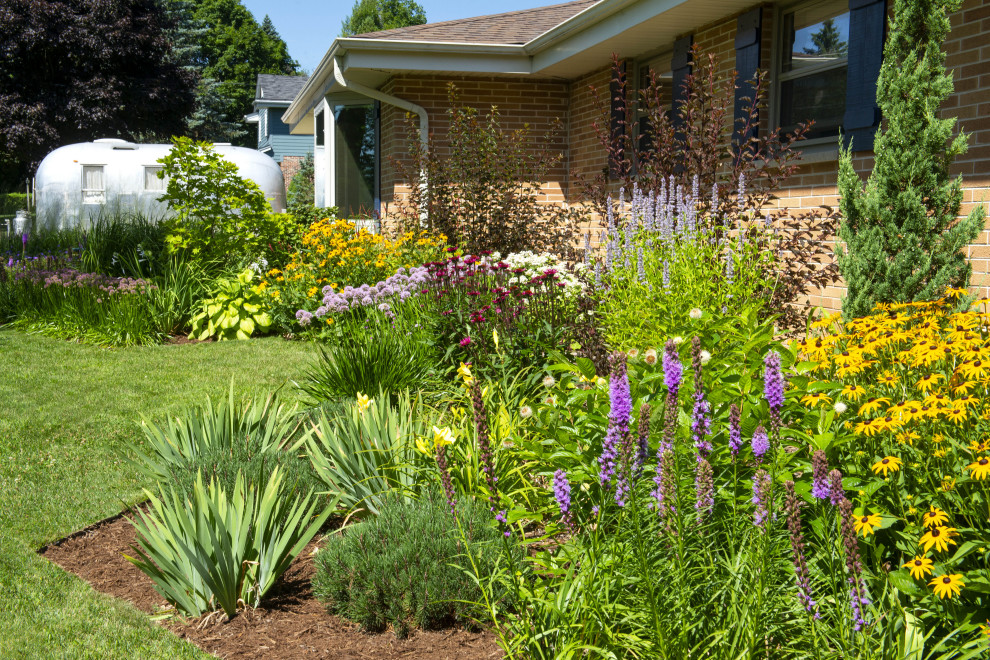 Diseño de jardín de secano contemporáneo de tamaño medio en verano en patio delantero con exposición total al sol