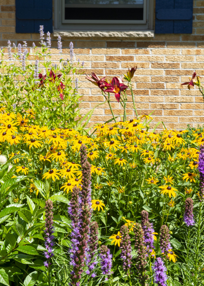 Imagen de jardín de secano contemporáneo de tamaño medio en verano en patio delantero con exposición total al sol