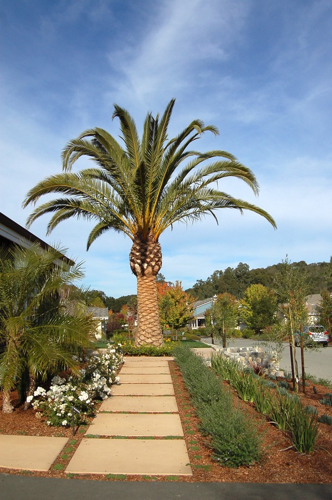 Diseño de jardín mediterráneo en patio delantero con adoquines de hormigón