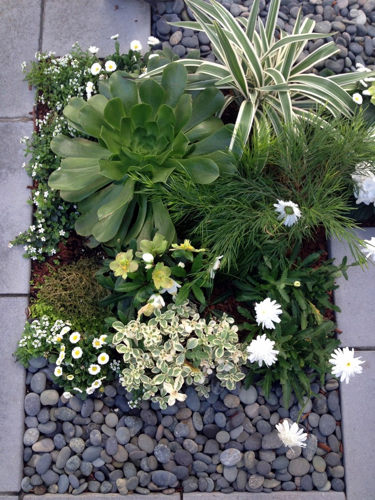Cette image montre un petit jardin sur cour design avec une exposition ombragée et des pavés en béton.