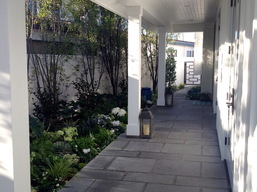 Immagine di un piccolo giardino contemporaneo in ombra in cortile con pavimentazioni in cemento