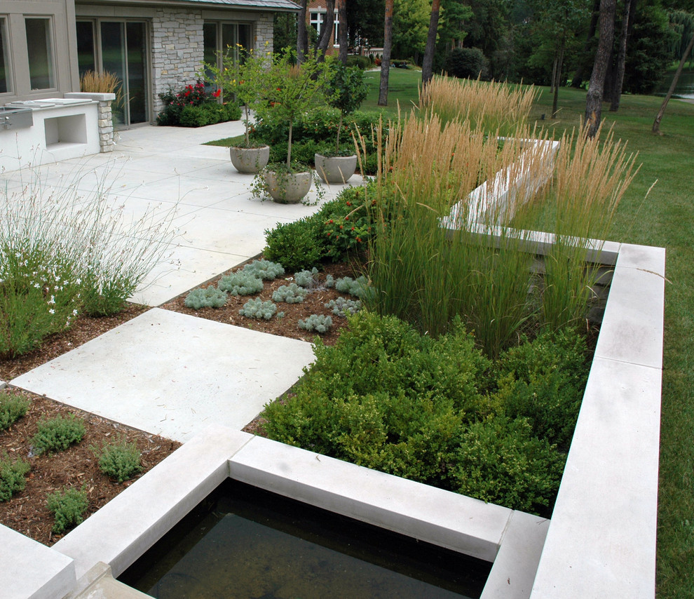 Идея дизайна: участок и сад на заднем дворе в современном стиле с растениями в контейнерах и мощением тротуарной плиткой