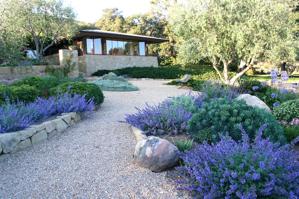 Imagen de jardín de secano actual extra grande en primavera en patio trasero con brasero, exposición total al sol y gravilla