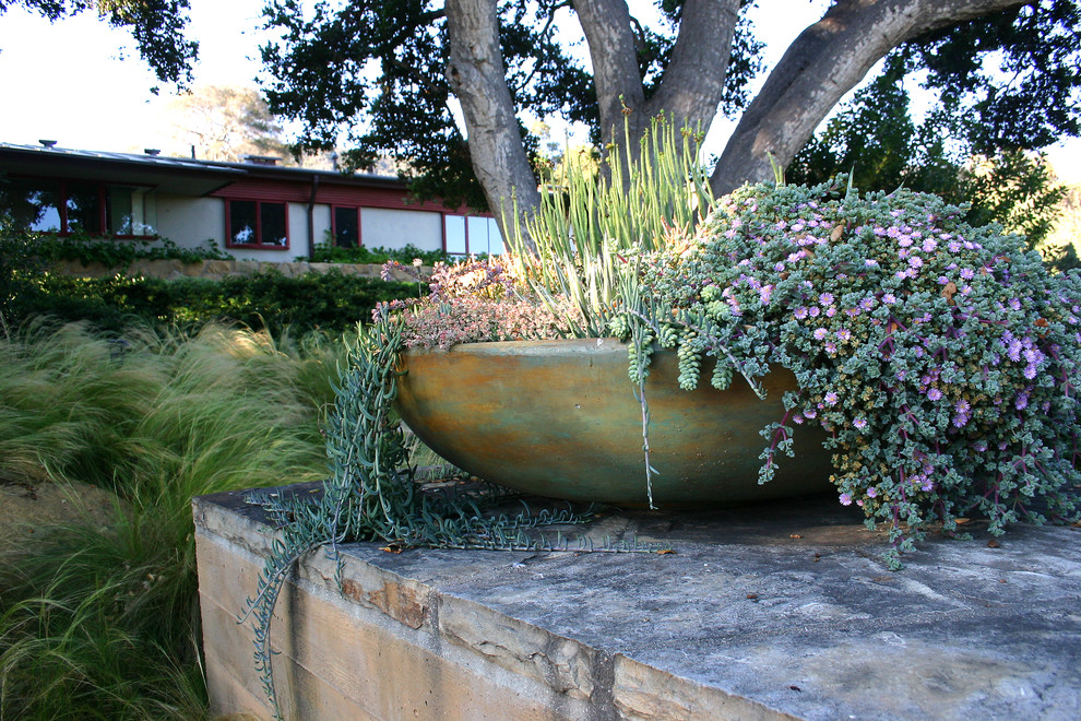 Photo of an expansive contemporary back xeriscape partial sun garden for summer in Santa Barbara with a potted garden and gravel.