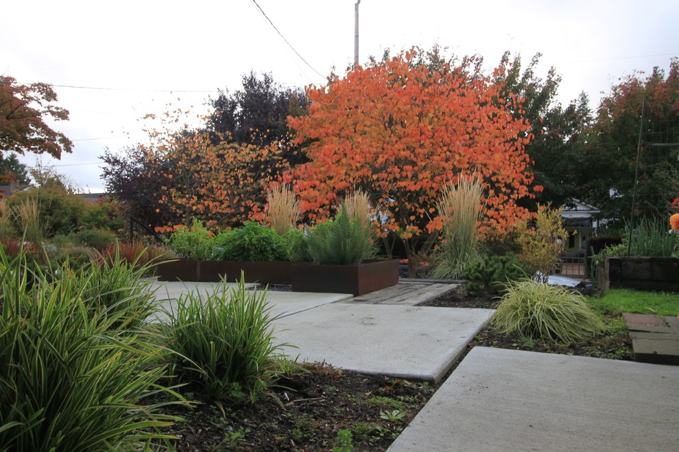 Mittelgroßer Moderner Garten hinter dem Haus mit Kübelpflanzen und Betonboden in Seattle
