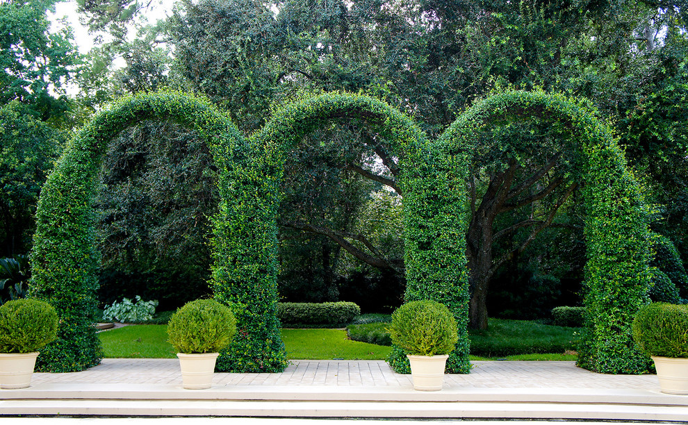 ヒューストンにあるトラディショナルスタイルのおしゃれな庭 (壁面緑化) の写真