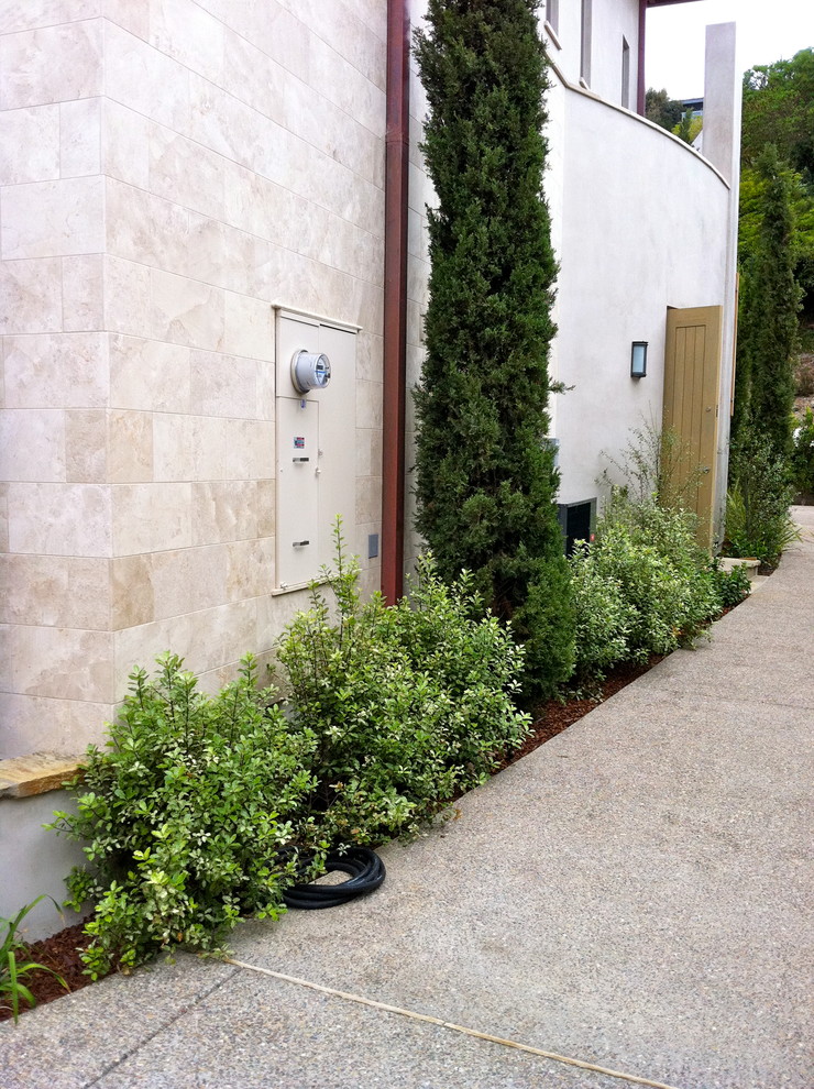 Contemporary La Jolla landscape architecture, courtyard, pool