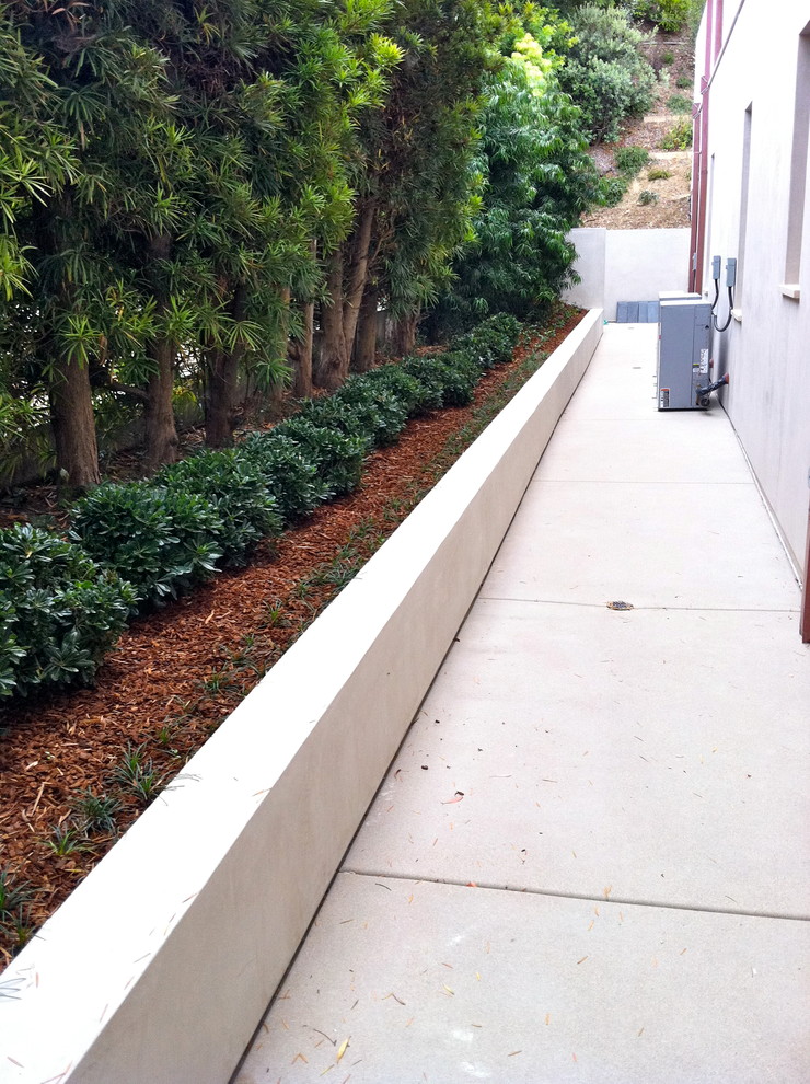 This is an example of a medium sized contemporary side full sun garden in San Diego with concrete paving.