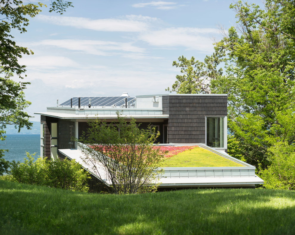 Photo of a contemporary roof full sun garden in Burlington.