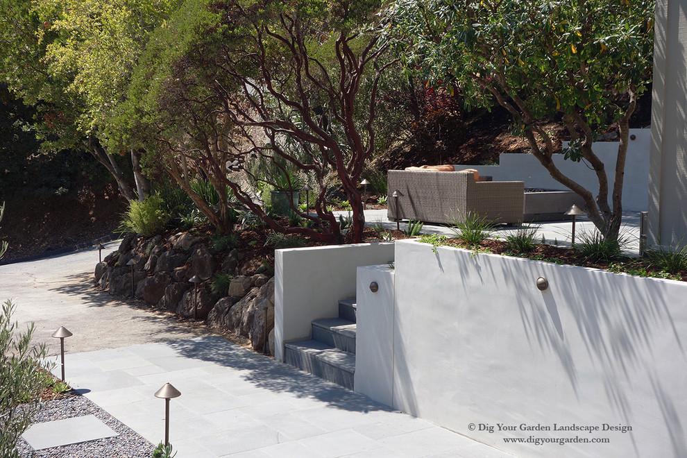Geräumiger, Halbschattiger Moderner Garten im Frühling mit Natursteinplatten in San Francisco