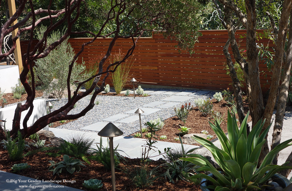 Modelo de camino de jardín de secano contemporáneo extra grande en primavera en patio delantero con exposición total al sol y gravilla