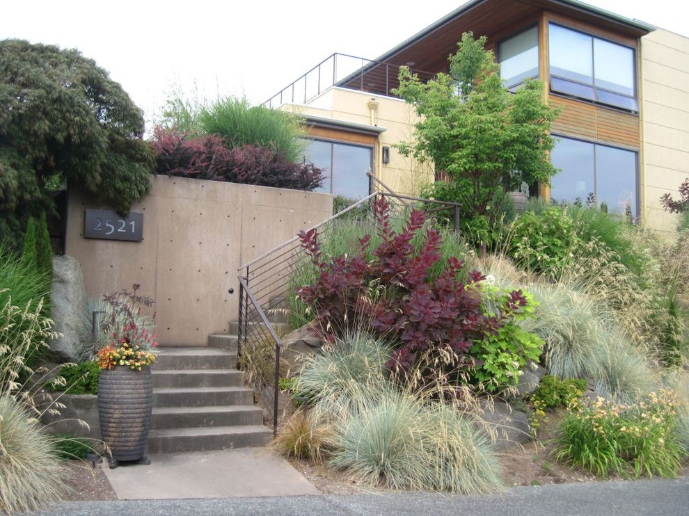 This is an example of a contemporary sloped garden for autumn.