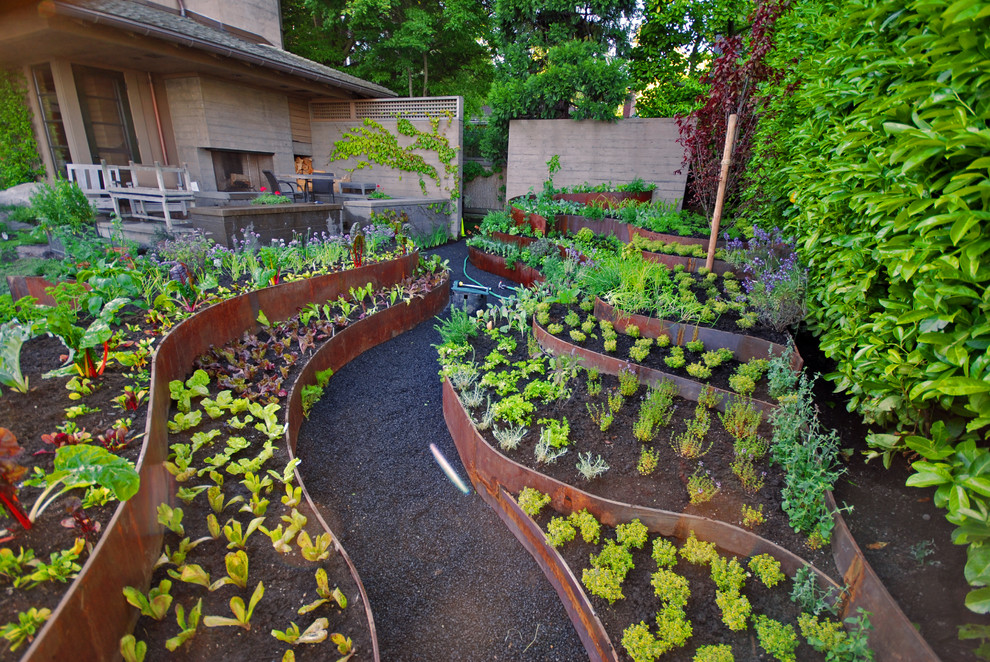 This is an example of a contemporary vegetable garden landscape in Other.