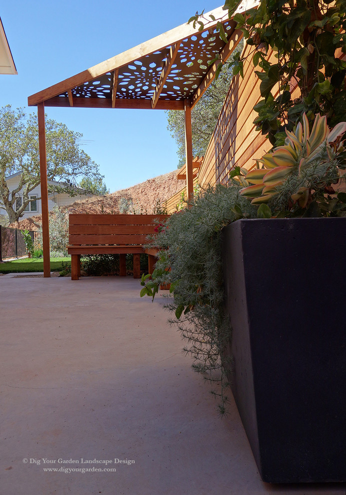Immagine di un giardino xeriscape design esposto in pieno sole di medie dimensioni in autunno con un giardino in vaso, un pendio, una collina o una riva e pavimentazioni in cemento