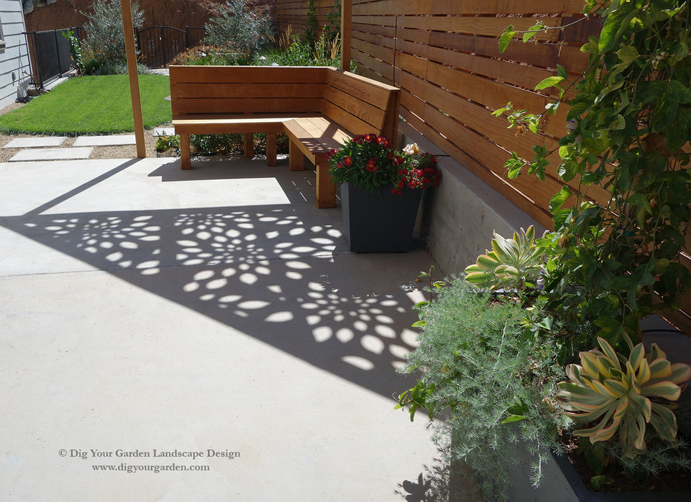 Esempio di un piccolo giardino xeriscape minimal esposto in pieno sole dietro casa in estate con un giardino in vaso e pavimentazioni in cemento