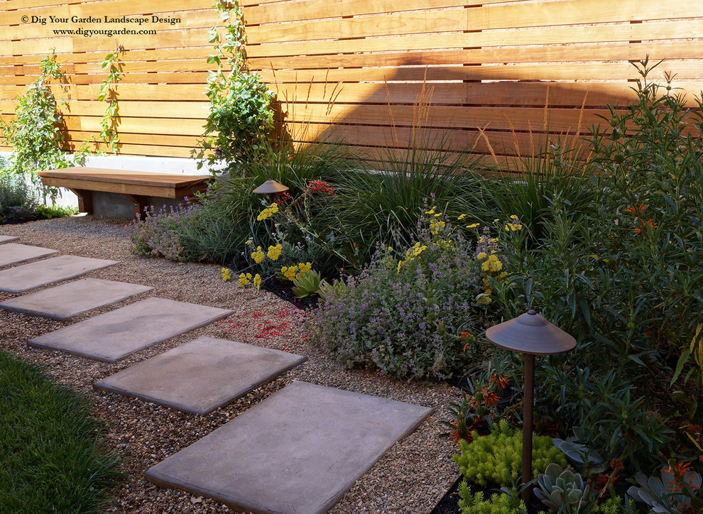 Immagine di un piccolo giardino xeriscape minimal esposto in pieno sole dietro casa in autunno con un ingresso o sentiero e ghiaia