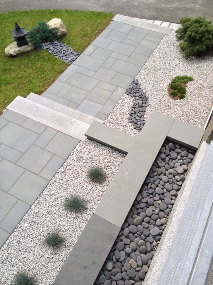 Esempio di un giardino xeriscape design esposto in pieno sole di medie dimensioni e davanti casa con un ingresso o sentiero e pavimentazioni in cemento