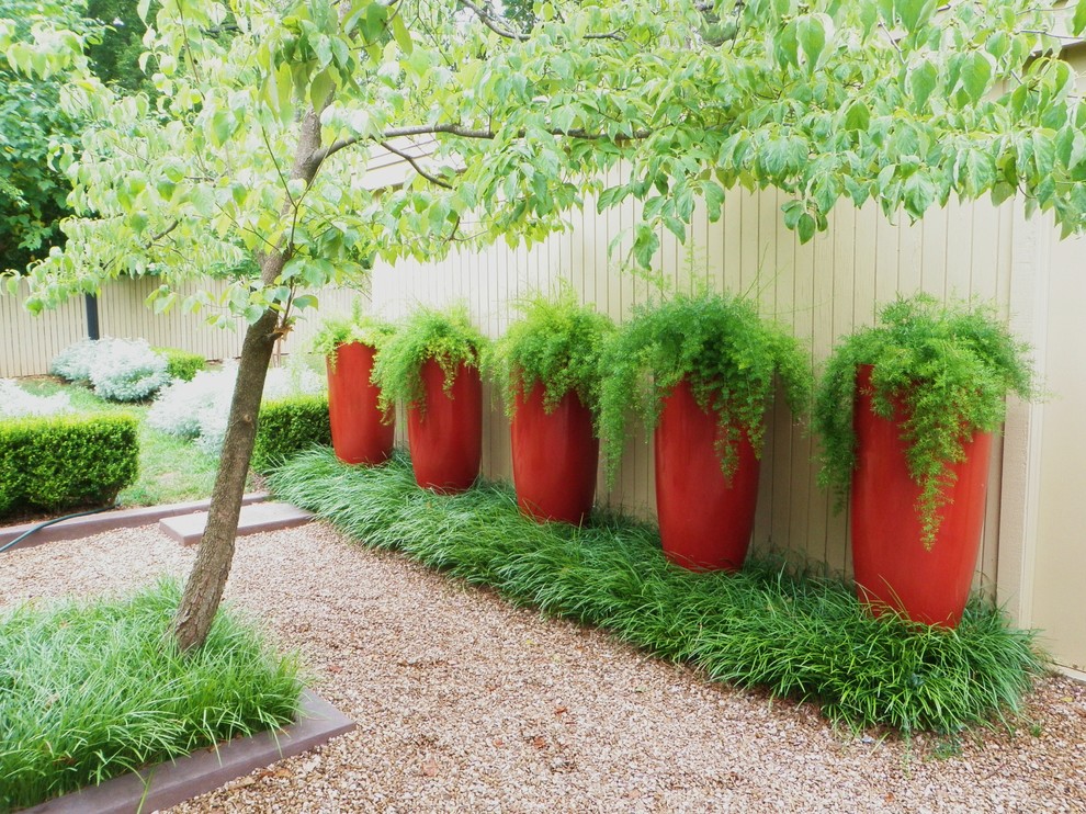 Источник вдохновения для домашнего уюта: участок и сад на заднем дворе в современном стиле с растениями в контейнерах и покрытием из гравия