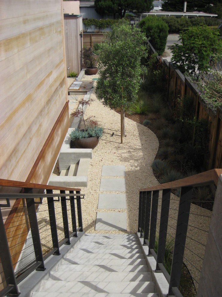 Inspiration for a contemporary backyard landscaping in Other.